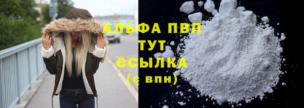 дурь Бородино