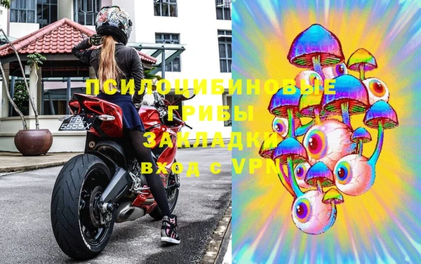 дурь Бородино