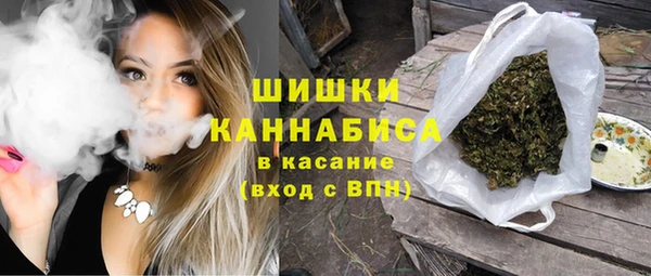 дурь Бородино
