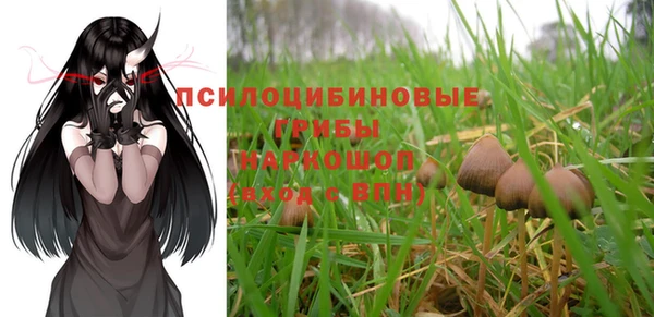 дурь Бородино