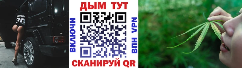 Купить где  Кузнецк  Бошки марихуана Amnesia 